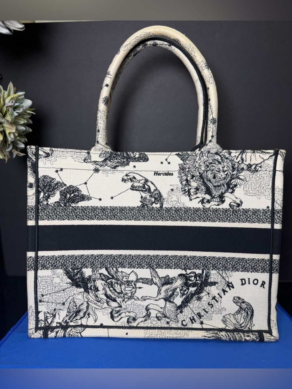 Authentic Dior Medium Book Tote Latte and Black Dior Zodiac Embroidery - Picture 3 of 11
